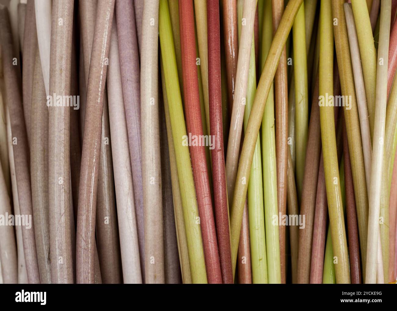 Acqua lilly steli texture colorati. Organico fresco di frutta e verdura al mercato asiatico Foto Stock