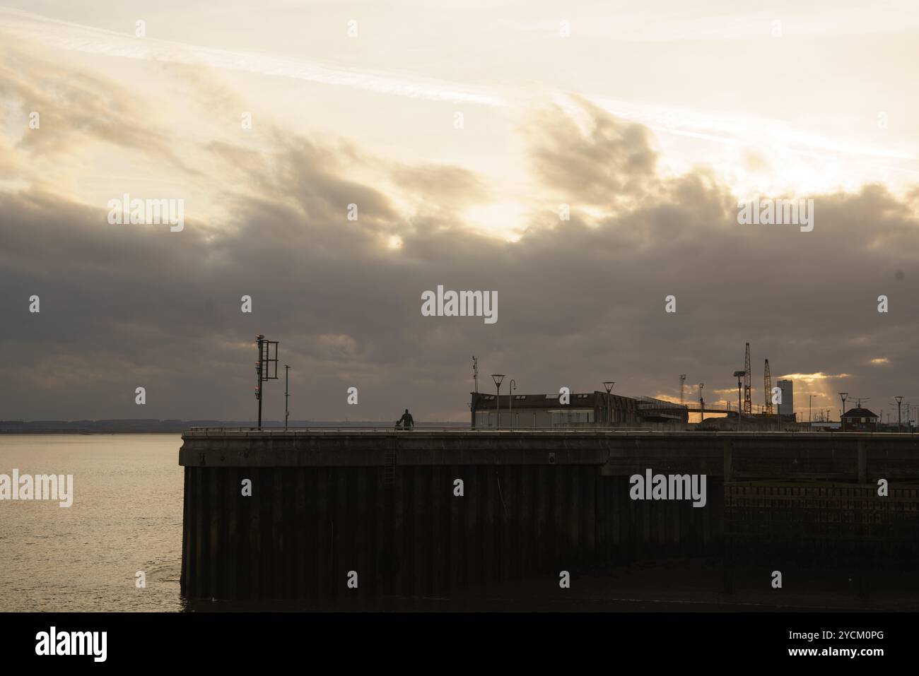 Vista su Albert Dock e Humber. La statua di Neil Hadlock si è vista sagomata sulla banchina. Foto Stock