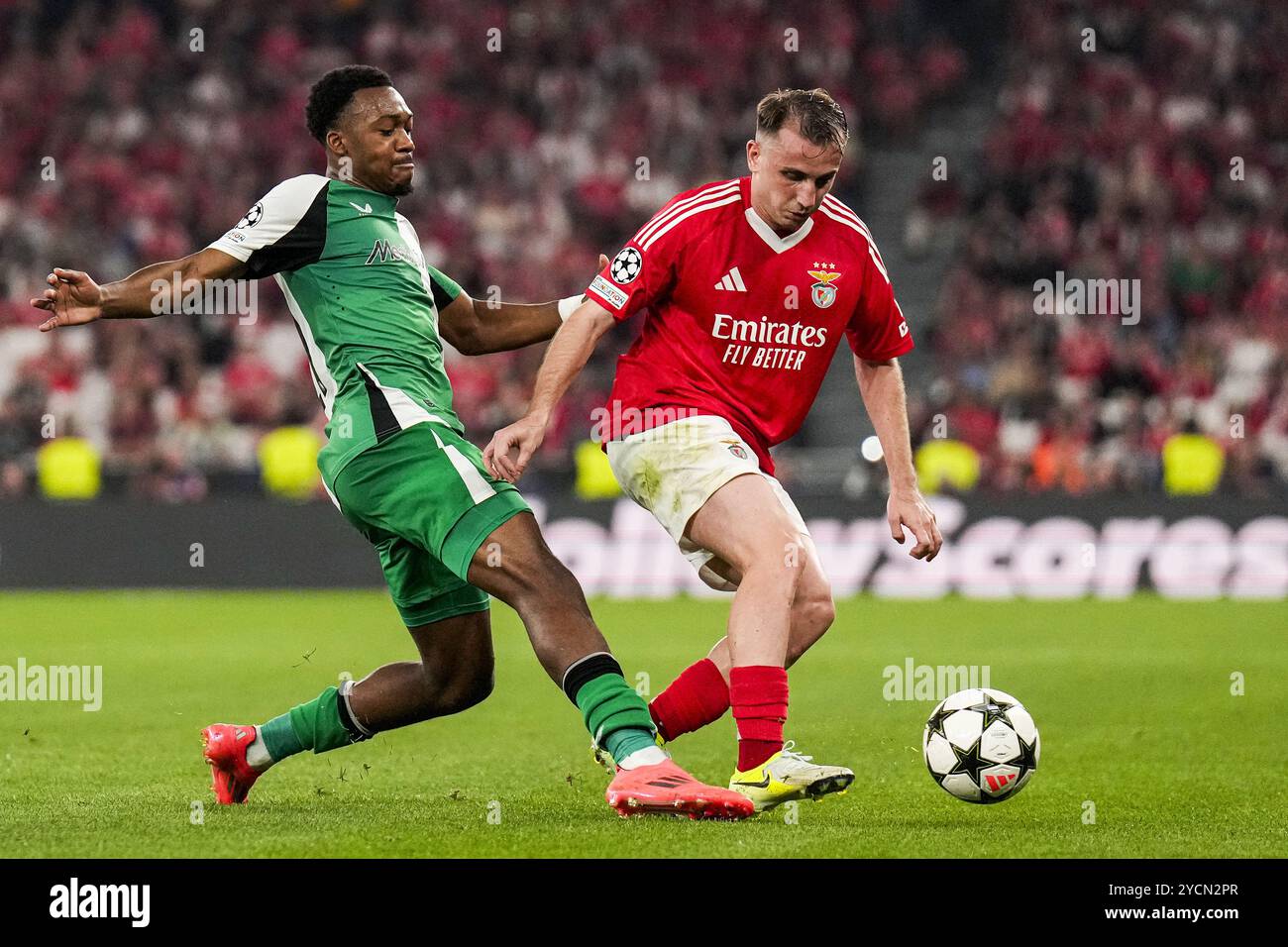 Lisbona, Portogallo. 23 ottobre 2024. Lisbona - Antoni Milambo di Feyenoord, Kerem Akturkoglu di SL Benfica durante il terzo round del nuovo format della UEFA Champions League 2024/2025. La partita è ambientata tra SL Benfica e Feyenoord all'Estadio da Luz il 23 ottobre 2024 a Lisbona, Portogallo. Credito: Foto Box to Box/Alamy Live News Foto Stock