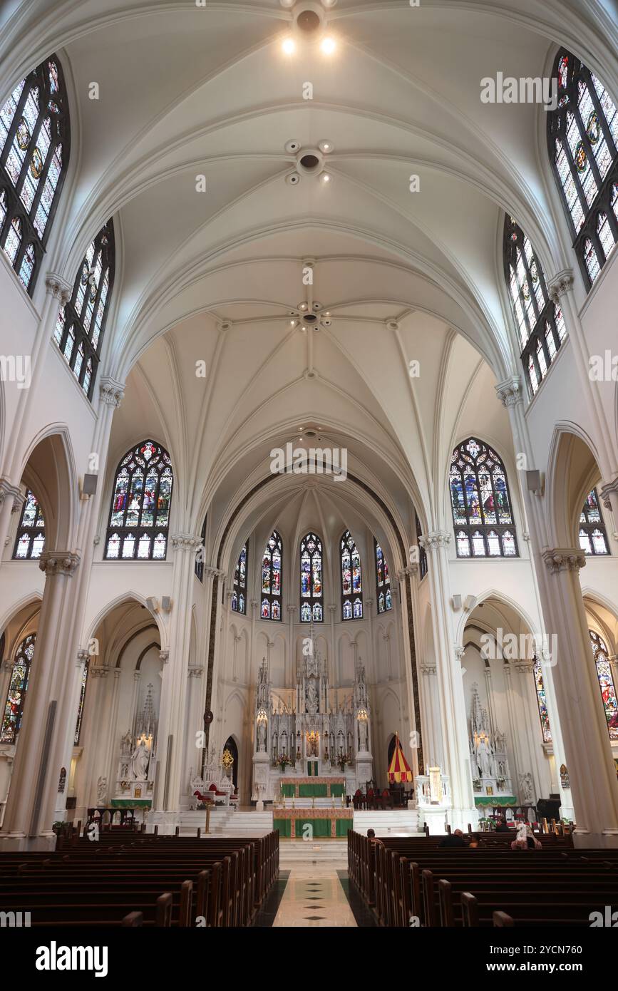 Basilica cattedrale dell'Immacolata Concezione, a Denver, Colorado, Stati Uniti. Foto Stock
