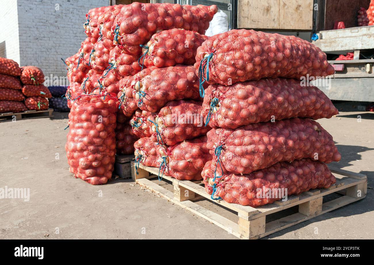 Fresche biologiche Onion per la vendita su un mercato per i prodotti agricoli Foto Stock
