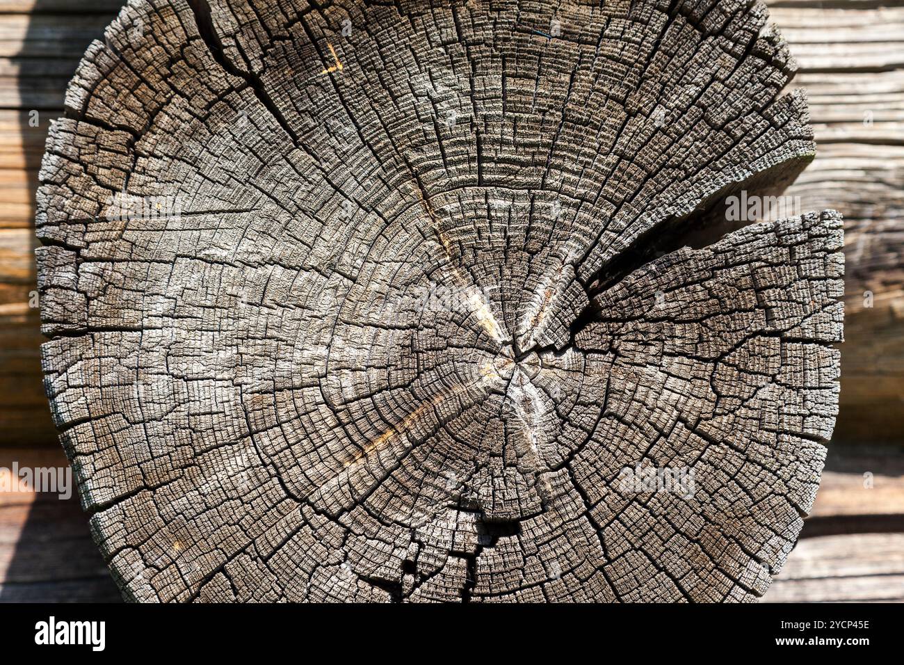 Texture di weathered incrinato fine del registro della vecchia casa in legno Foto Stock