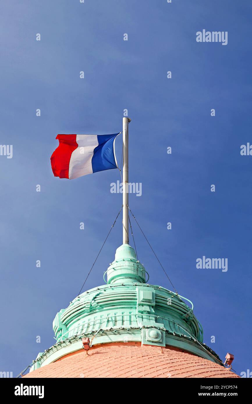 Bandierina della Francia Foto Stock