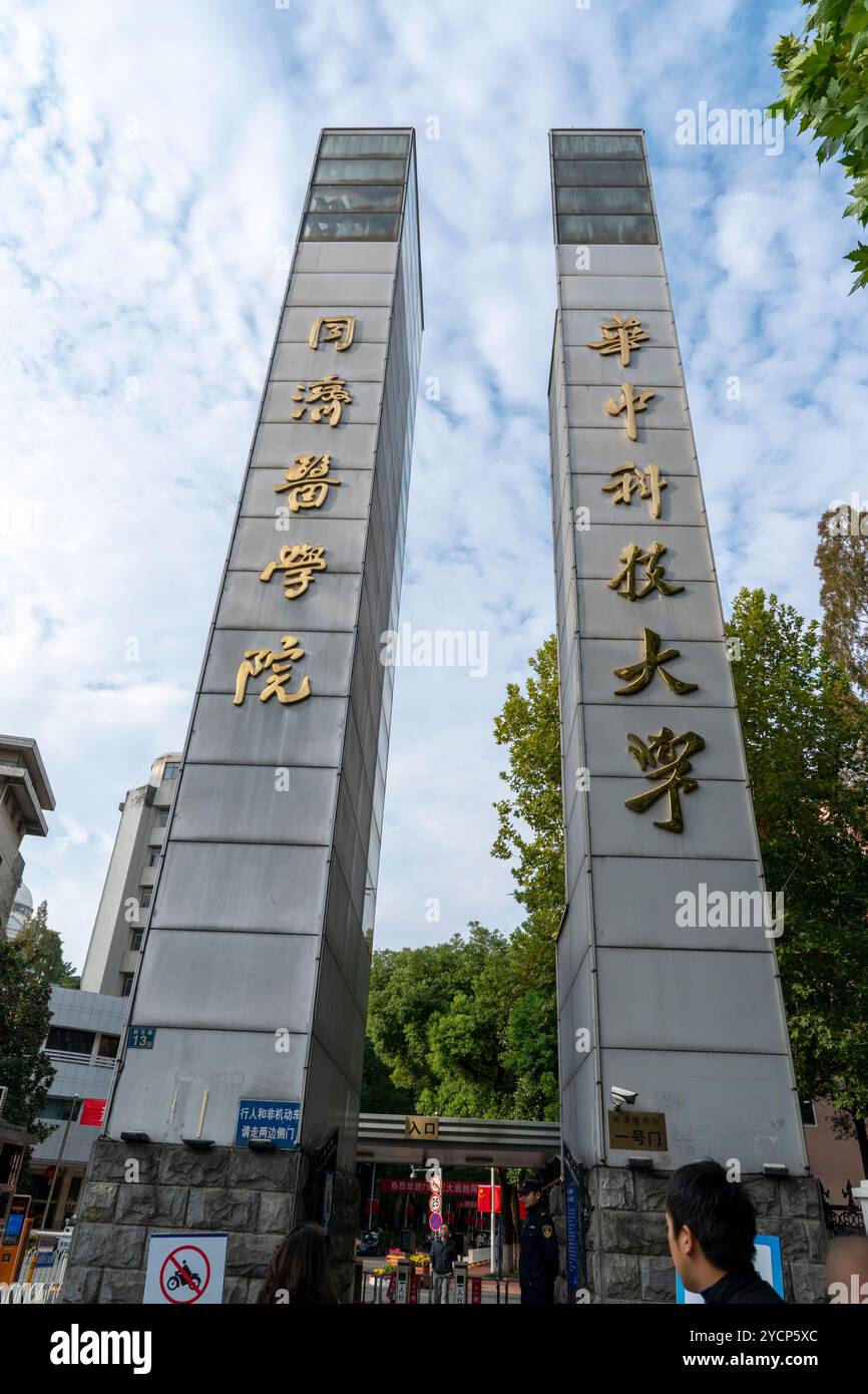 WUHAN, CINA - 19 OTTOBRE 2024 - studenti universitari, master e dottorandi nell'industria farmaceutica cercano lavoro in loco su larga scala Foto Stock