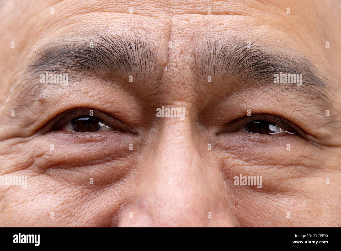 Primo piano degli occhi di un anziano asiatico, mostrando saggezza ed esperienza, a casa Foto Stock