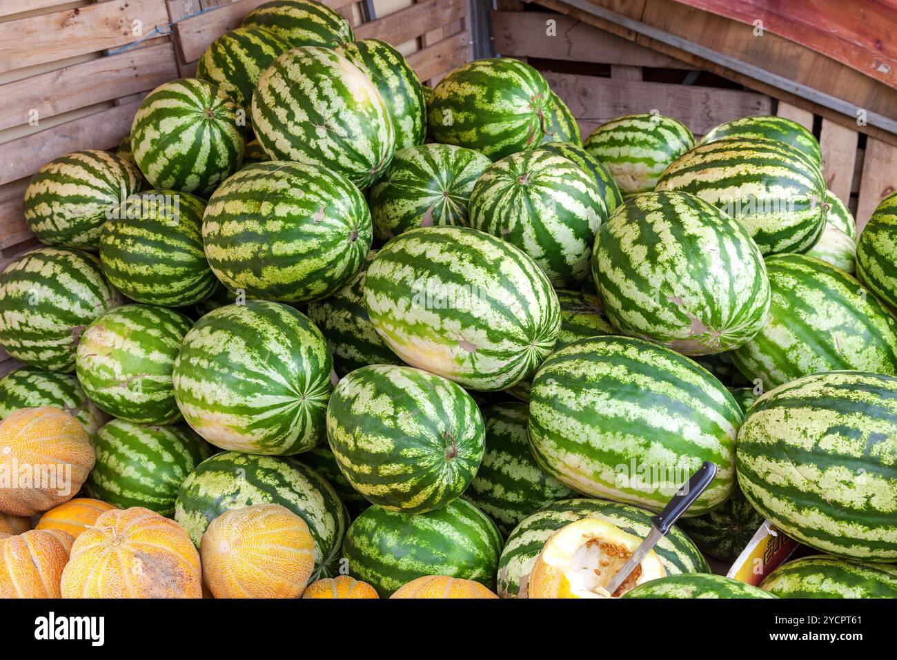 Freschi cocomeri in vendita presso il locale mercato degli agricoltori Foto Stock