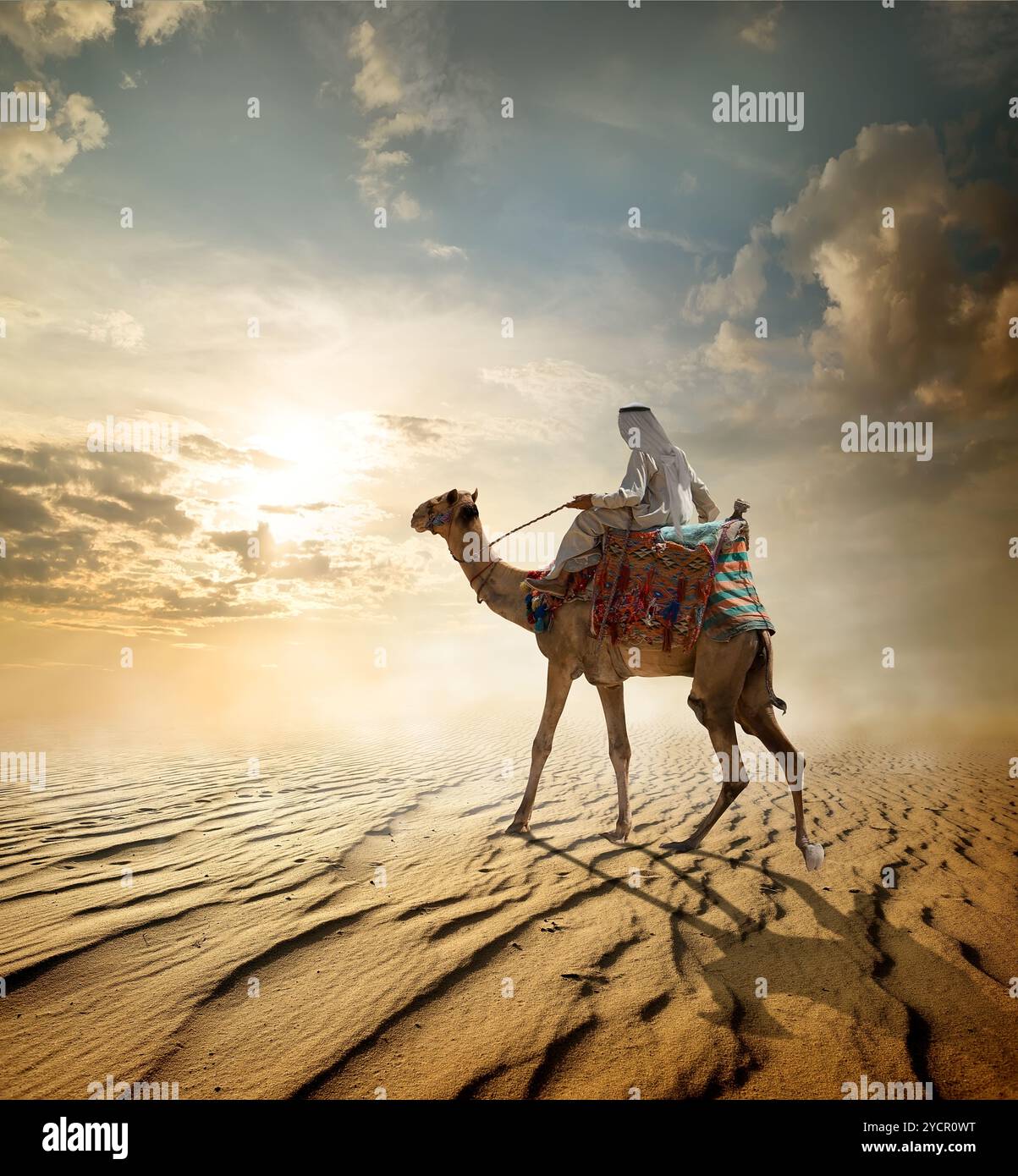 Bedouin passeggiate a dorso di cammello attraverso il deserto sabbioso Foto Stock