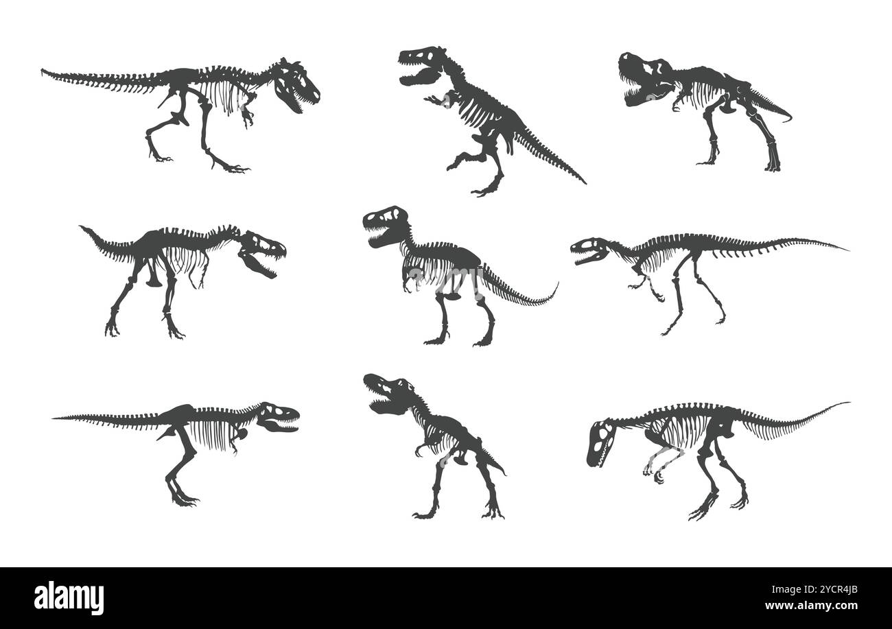 Sagoma dello scheletro di dinosauro, sagoma delle ossa di dinosauro, sagoma di dinosauro, sagoma di scheletro Illustrazione Vettoriale