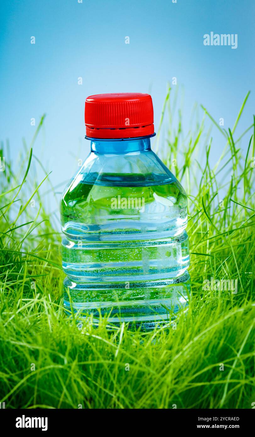 Bottiglia d'acqua sull'erba Foto Stock