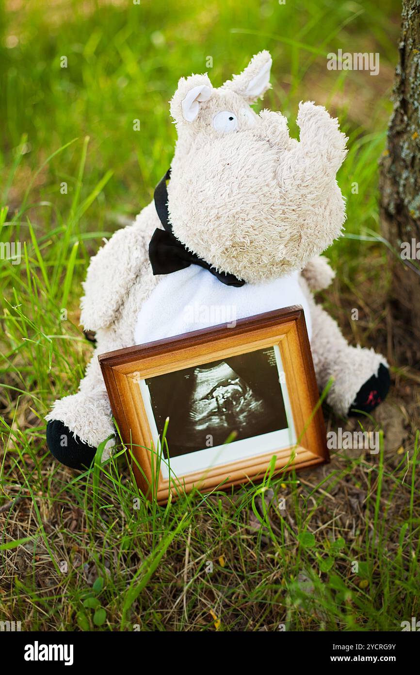 Vista della scansione ecografica del bambino Foto Stock