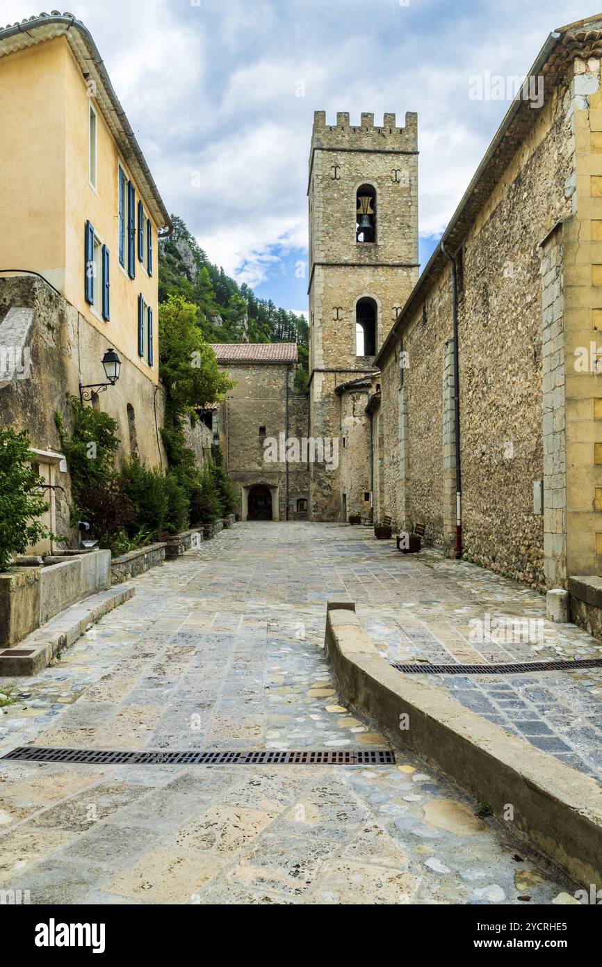 Antico villaggio rustico di Entrevaux, dipartimento Alpi marittime, Alpi marittime francesi, Francia, Europa Foto Stock