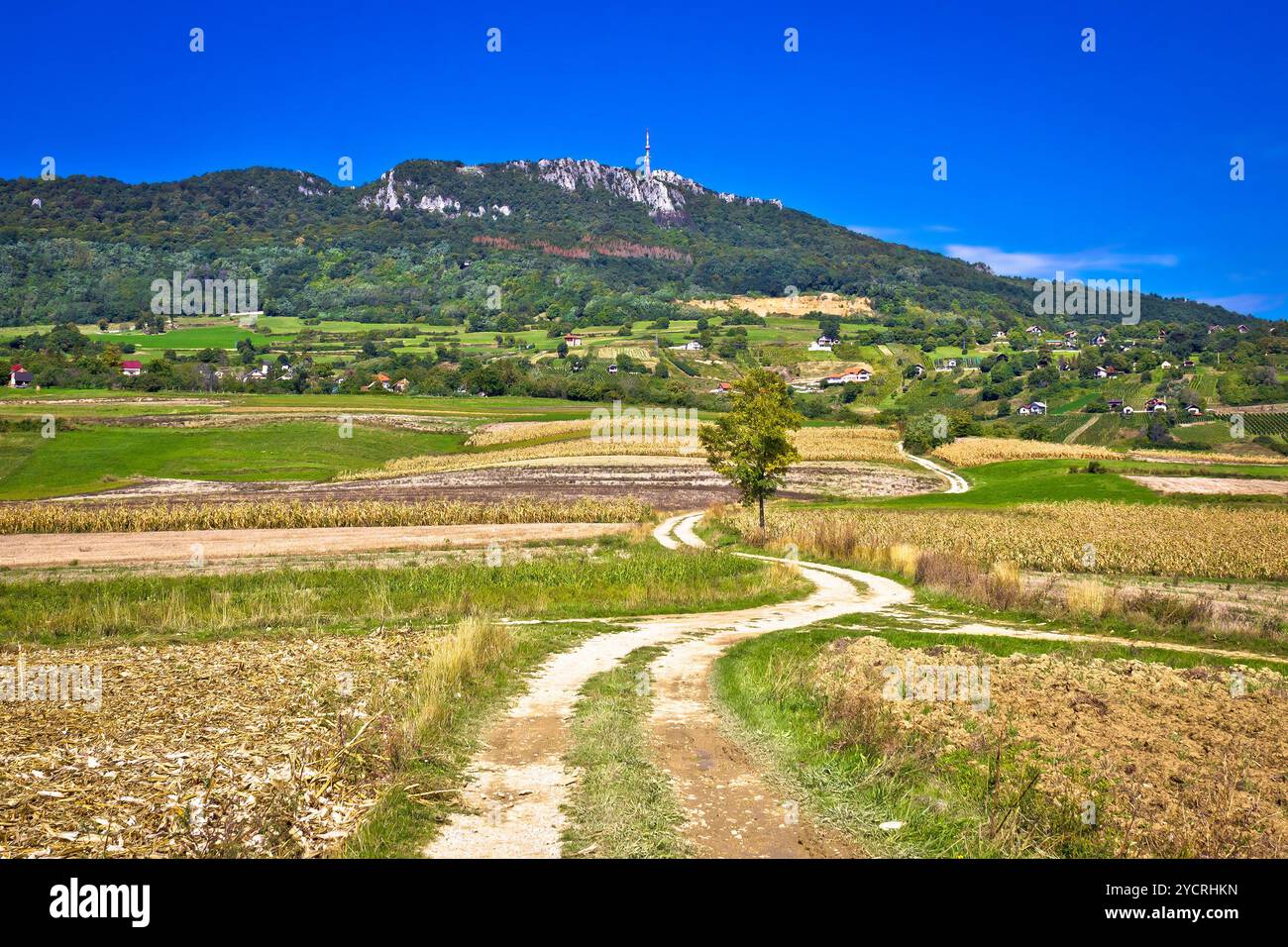 Idilliaco paesaggio di montagna Kalnik, Croazia Foto Stock