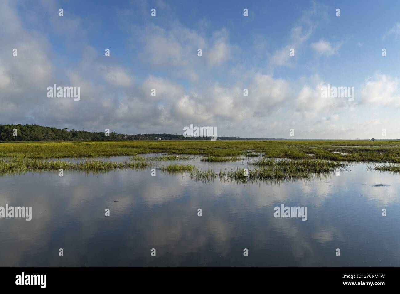 Vista panoramica dei letti di marea e delle paludi di Pawleys Island, South Carolina Foto Stock