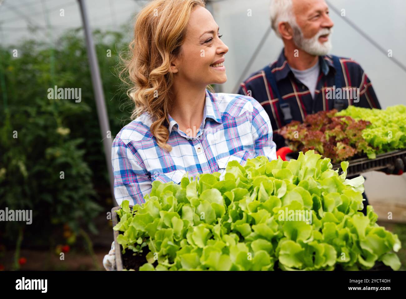 Famiglia felice di coltivatori biologici di verdure da vendere ai negozi locali. Foto Stock