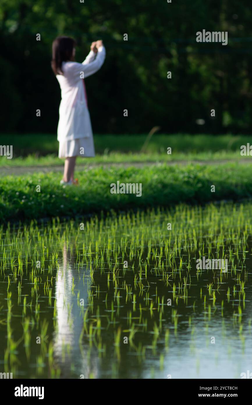Riflesso di una donna che scatta foto in risaia Foto Stock