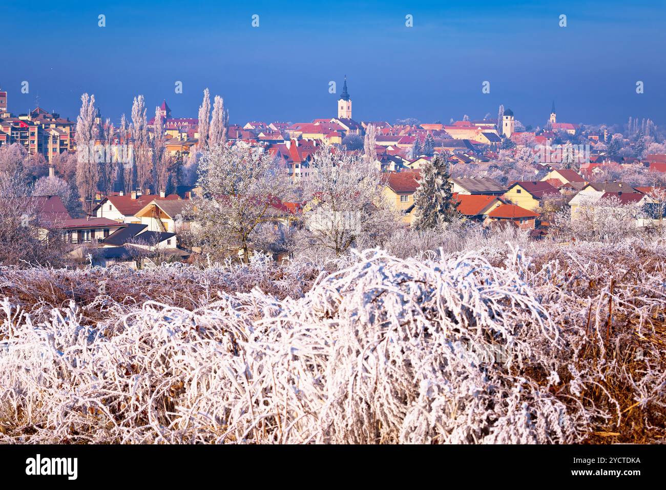 Il ghiaccio gelo invernale di vista Krizevci Foto Stock