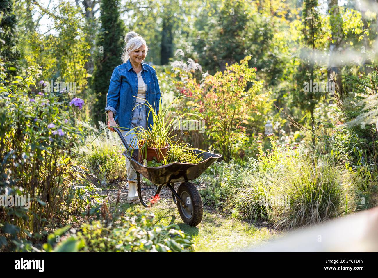 Donna anziana che lavora nel suo giardino in una giornata di sole Foto Stock