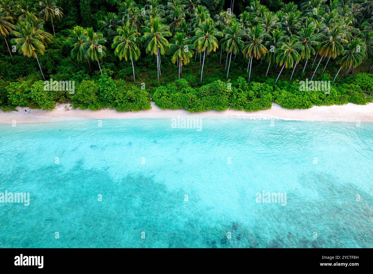 Vista aerea di una splendida spiaggia isolata di sabbia bianca con palme e vegetazione lussureggiante sullo sfondo sull'isola labengki a sulawesi, inndonesia Foto Stock