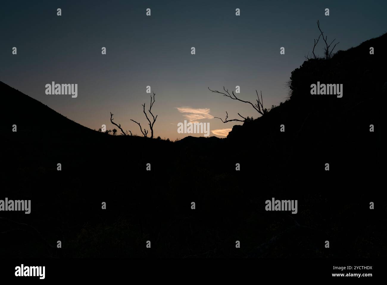 Profilo di montagna e rami di alberi su un tramonto dorato con delicate nuvole Foto Stock
