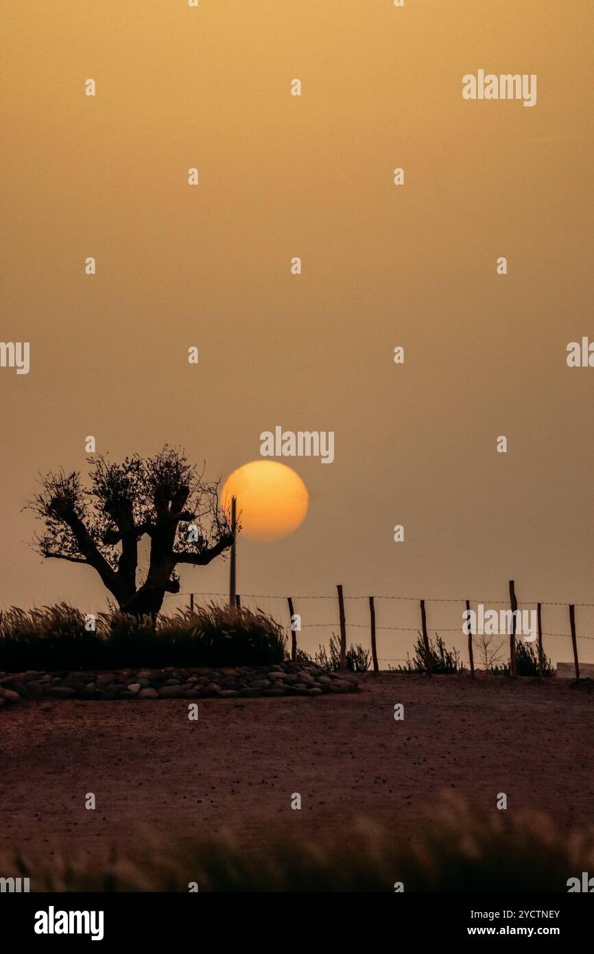 Scopri i colori, le texture e i paesaggi di Marrakech, dai vivaci mercati alle tranquille montagne dell'Atlante e al vasto deserto di Agafay Foto Stock