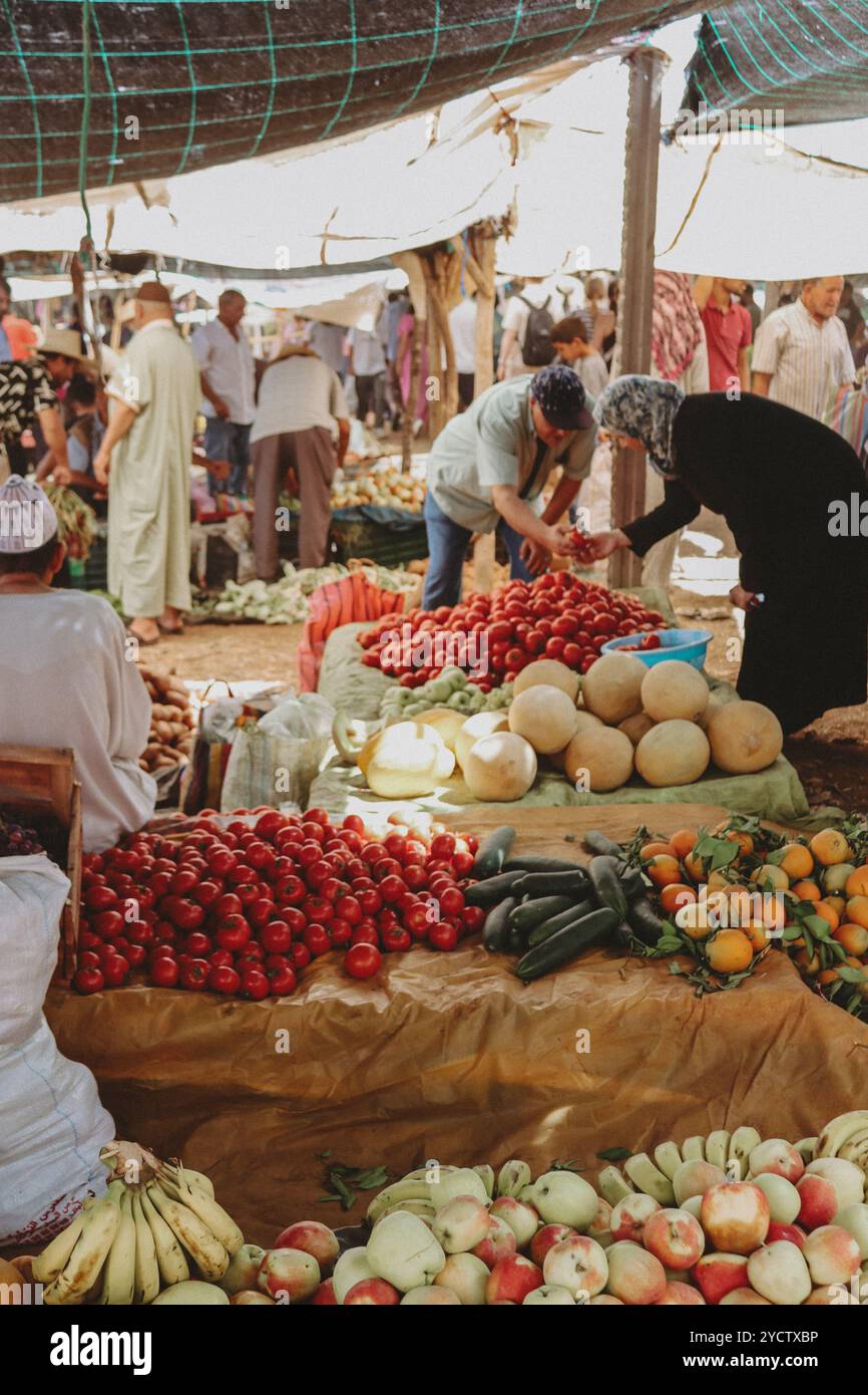 Scopri i colori, le texture e i paesaggi di Marrakech, dai vivaci mercati alle tranquille montagne dell'Atlante e al vasto deserto di Agafay Foto Stock