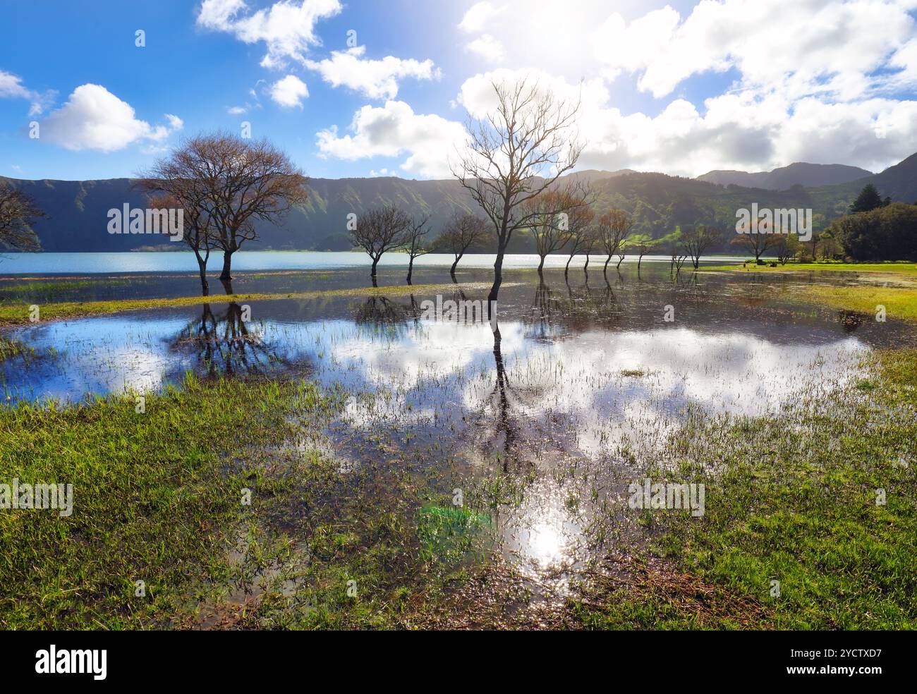 Azzorre - riflessione nel lago Azul con sole e erba verde in acqua, Sete Cidades, San Miguel, Portogallo Foto Stock