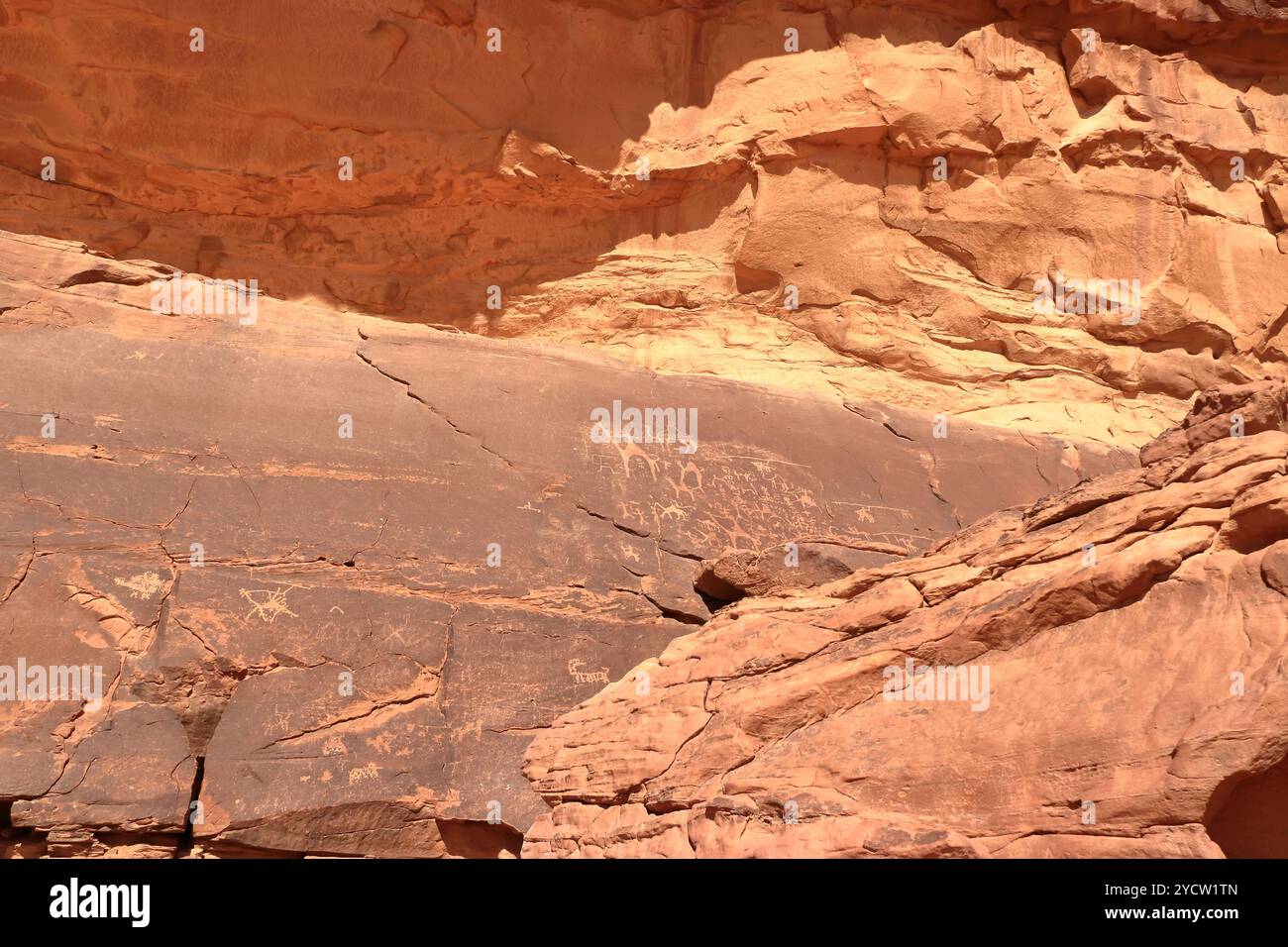 Vista ravvicinata di un petroglifico Wadi Rum in Giordania Foto Stock
