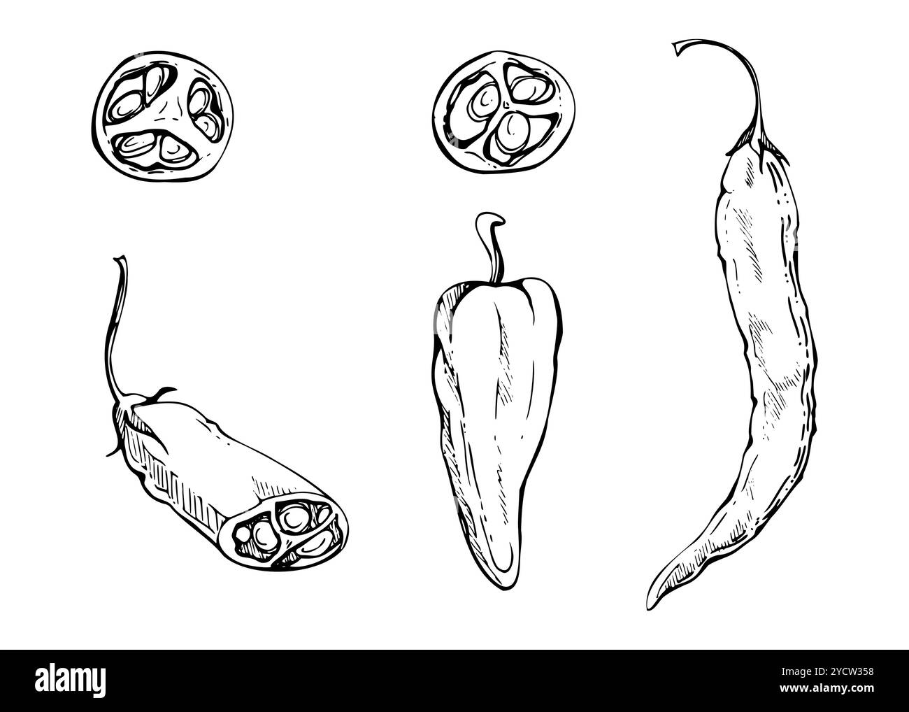 Peperoncino messicano, insalata di verdure piccante, jalapeno habanero. Set di illustrazioni del vettore di inchiostro disegnato a mano. Snack bar di design, consegna a domicilio Illustrazione Vettoriale