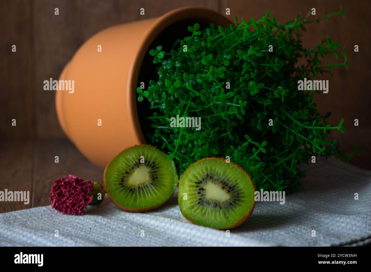 Natura morta con un vaso marrone caduto con una pianta con foglie verdi, kiwi e fiore rosso scuro Foto Stock