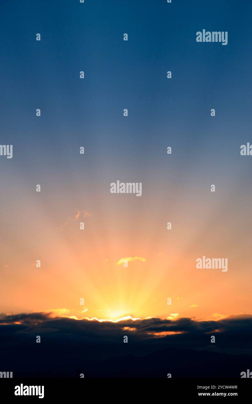 Sole del mattino Foto Stock