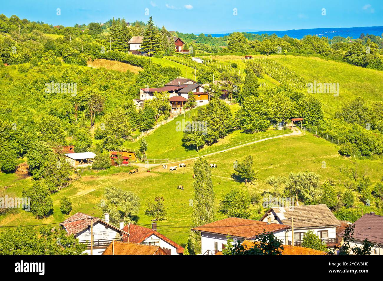Pittoresche colline verdi di vista Plesivica Foto Stock