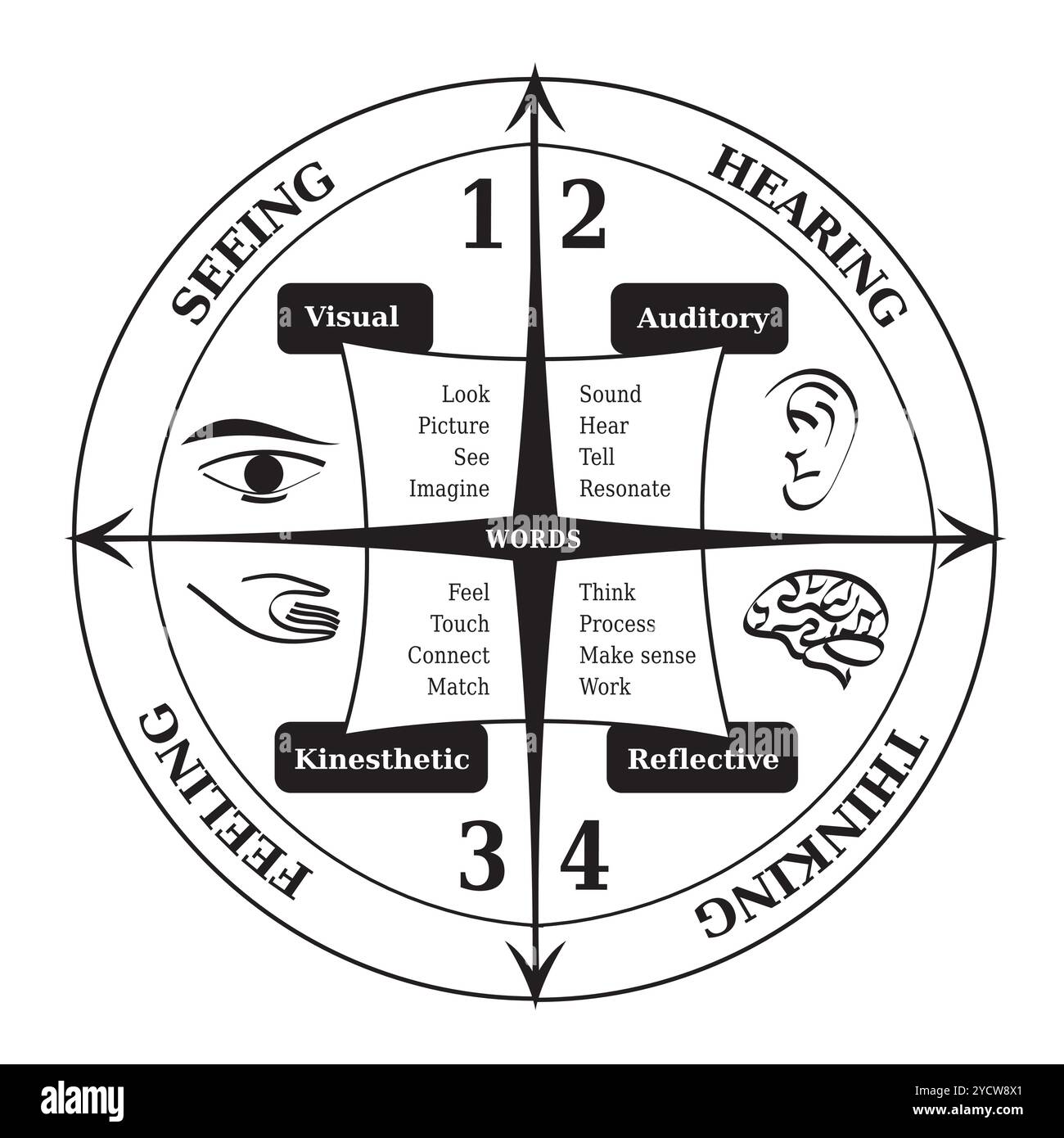 Diagramma di quattro stili di apprendimento, strumento utilizzato per il Life coaching e nel PNL Illustrazione Vettoriale