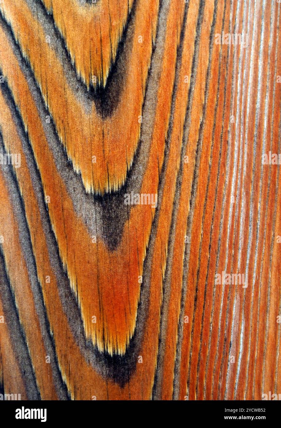 Pannello di recinzione in legno sotto la pioggia Foto Stock