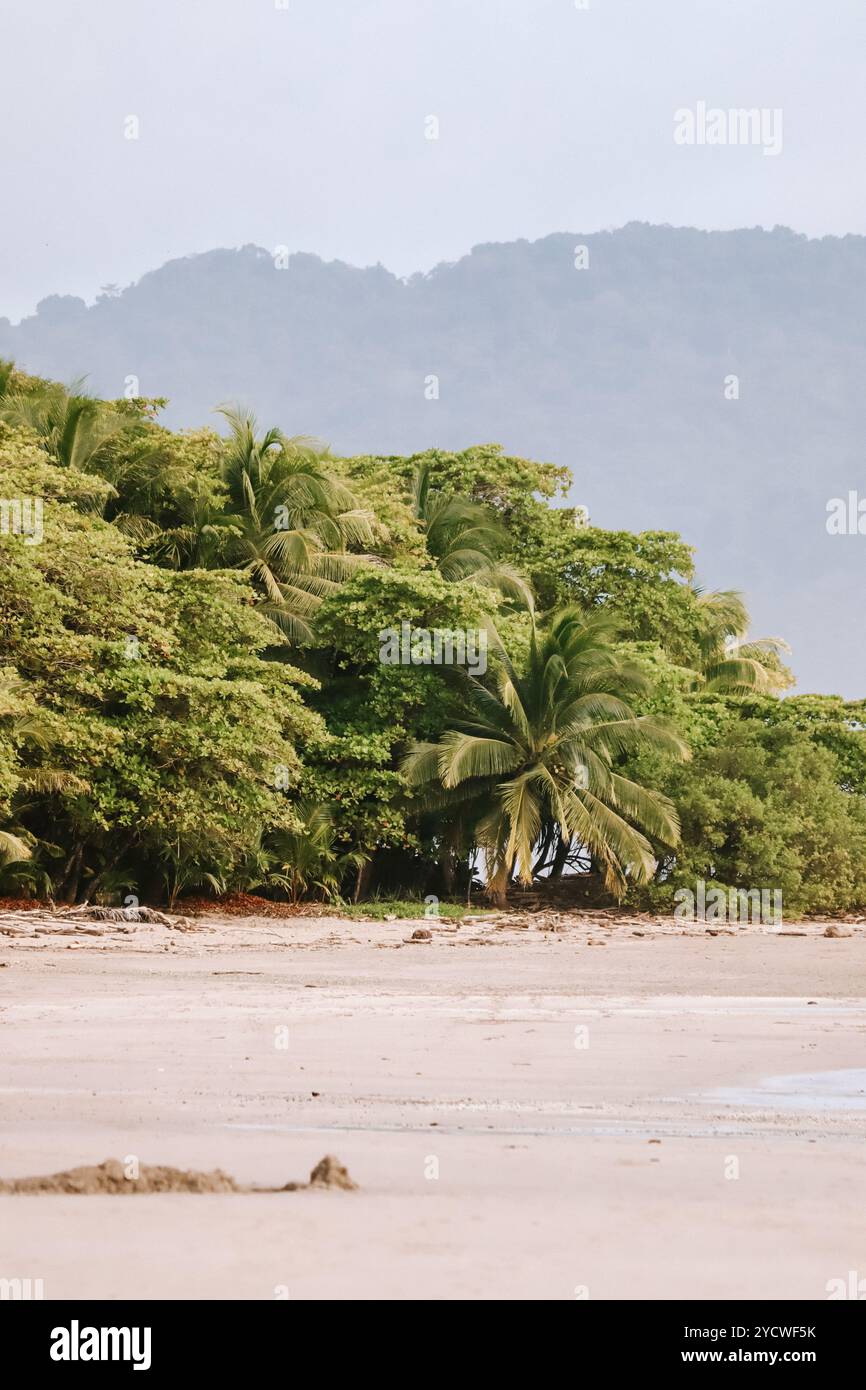 Scopri i vibranti paesaggi della Costa Rica Foto Stock