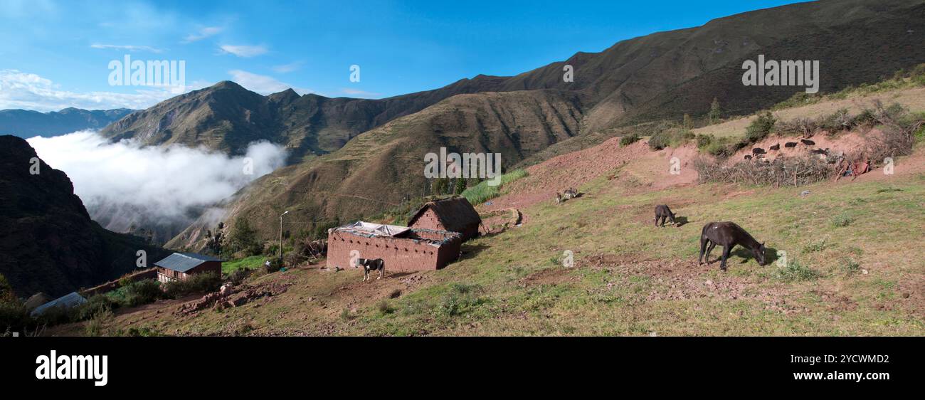 Piccola fattoria nelle Ande in Perù, alta quota, che vive fuori rete Foto Stock