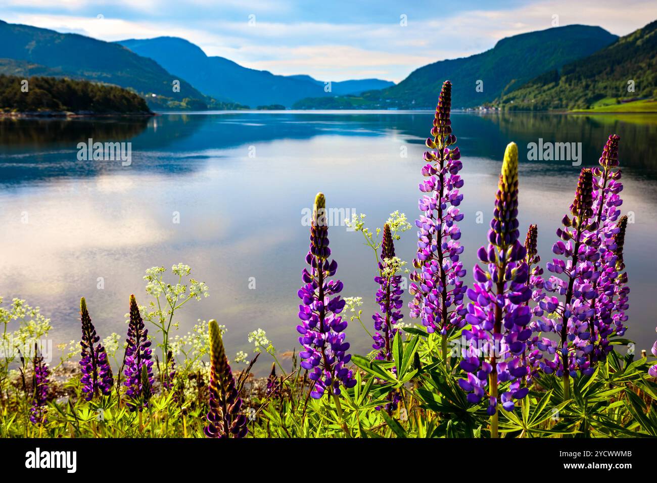 Bella natura Norvegia. Foto Stock