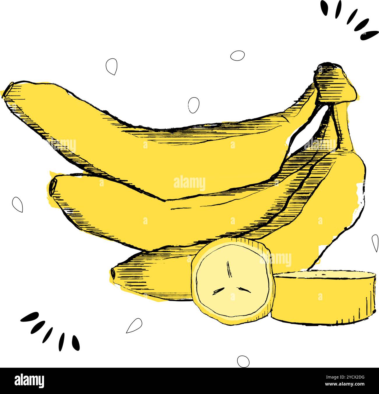 Logo vettoriale per Banana, poster orizzontale decorativo con illustrazione di 3 tipi di banane intere e tagliate a fette, disegno grafico stampa fruttata W. Illustrazione Vettoriale