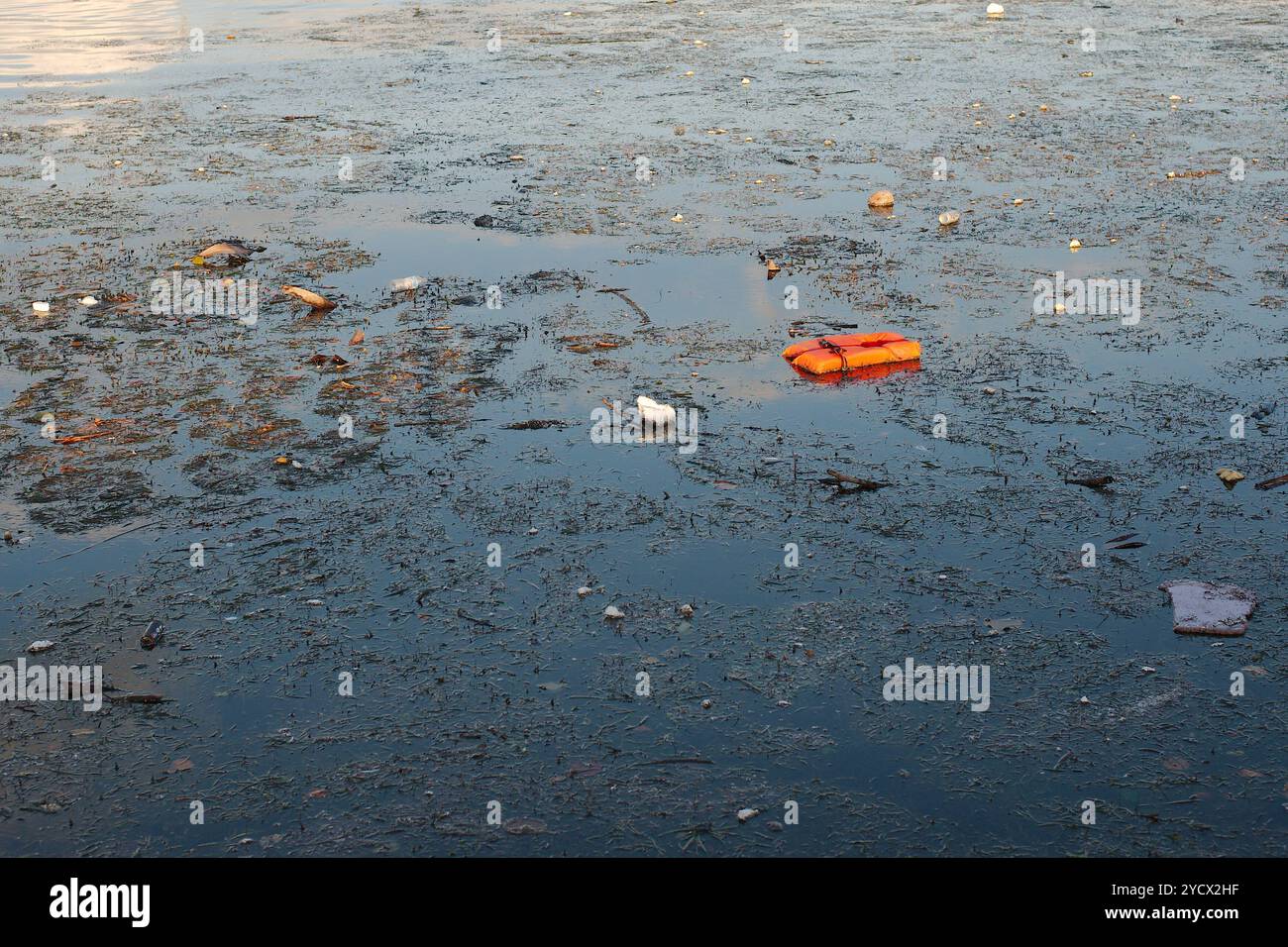 Giubbotto di salvataggio arancione e spazzatura nell'acqua della baia dopo la tempesta dell'uragano Milton. La plastica prodotta dall'uomo ha danneggiato la linea costiera con microplastica, bottiglie. Detriti in natu Foto Stock