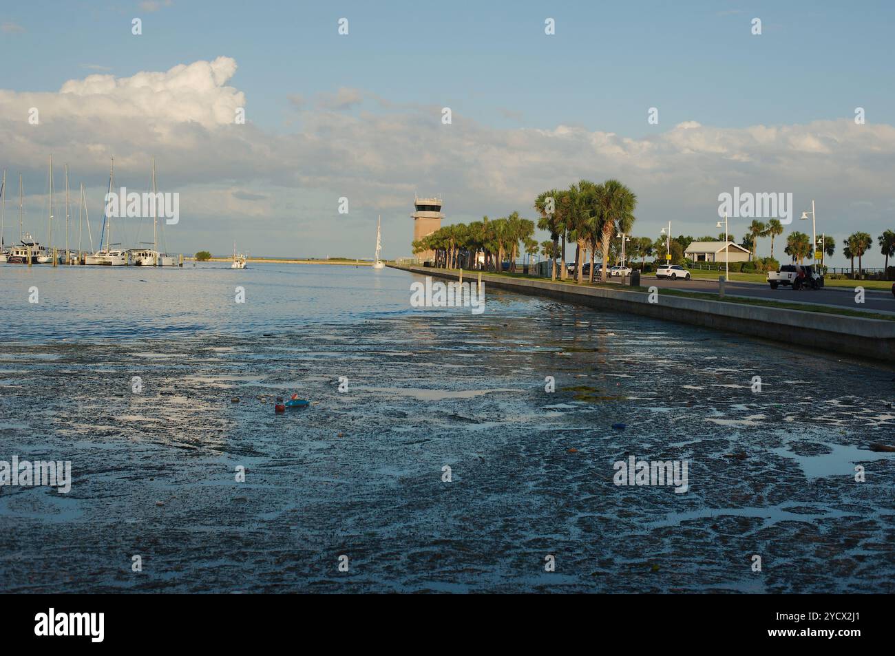 Vista dal parco giochi Albert Whitted nel bacino sud degli yacht a St. Petersburg, Florida. Spazzatura nell'acqua della baia dopo la tempesta dell'uragano Milton. L'uomo ha fatto delle materie plastiche Foto Stock