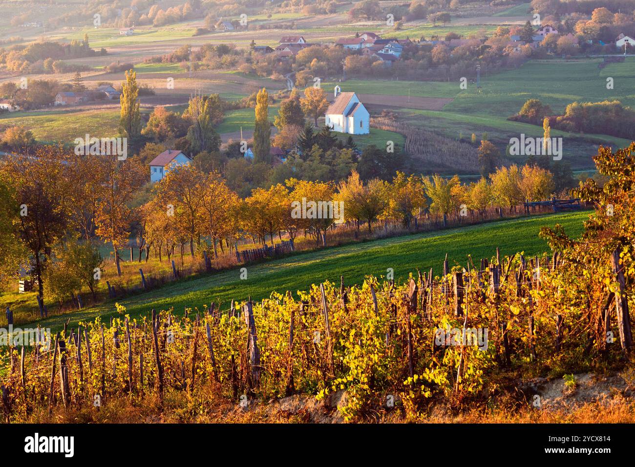 Autunno veduta della chiesa sulle colline rurale Foto Stock