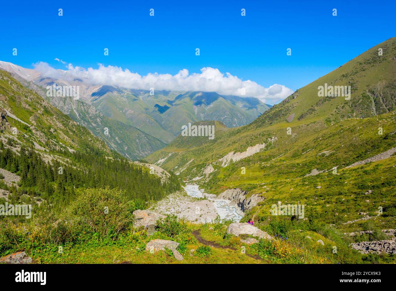 Parco nazionale di Ala Archa, Kirghizistan Foto Stock