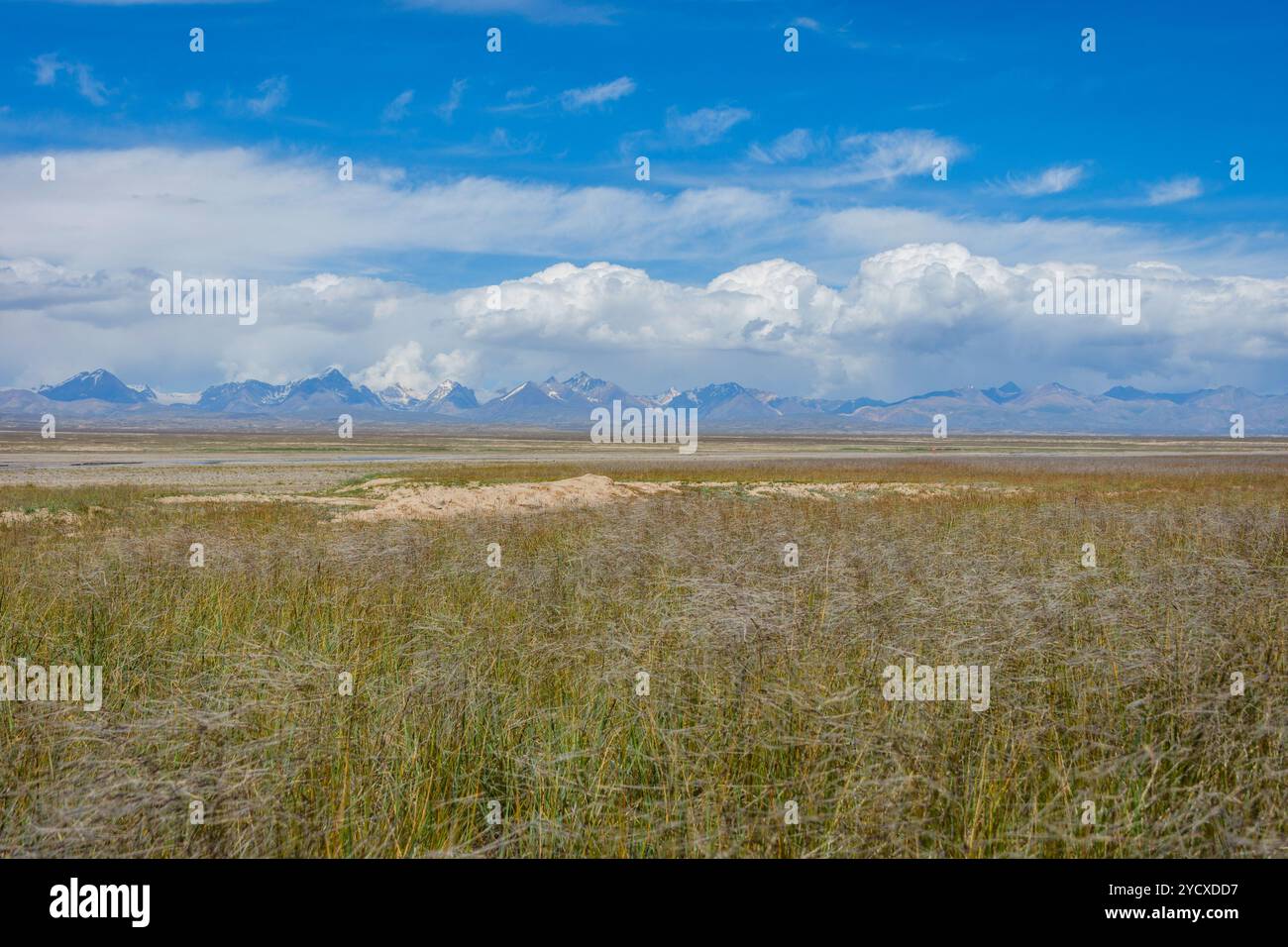 Valle panoramica con il fiume, Kirghizistan Foto Stock