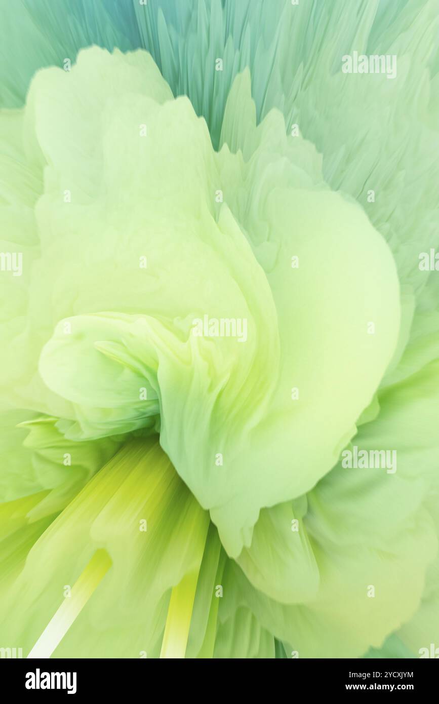 Un'illustrazione astratta che mostra una dinamica raffica di sfumature verdi che si fondono in morbidi gialli, creando un display visivamente rilassante ma energico Foto Stock