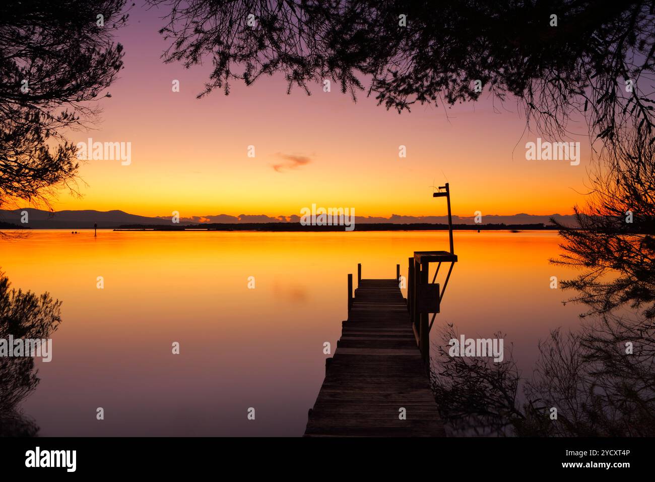 Vecchio molo in legno all'alba incorniciato da alberi Foto Stock