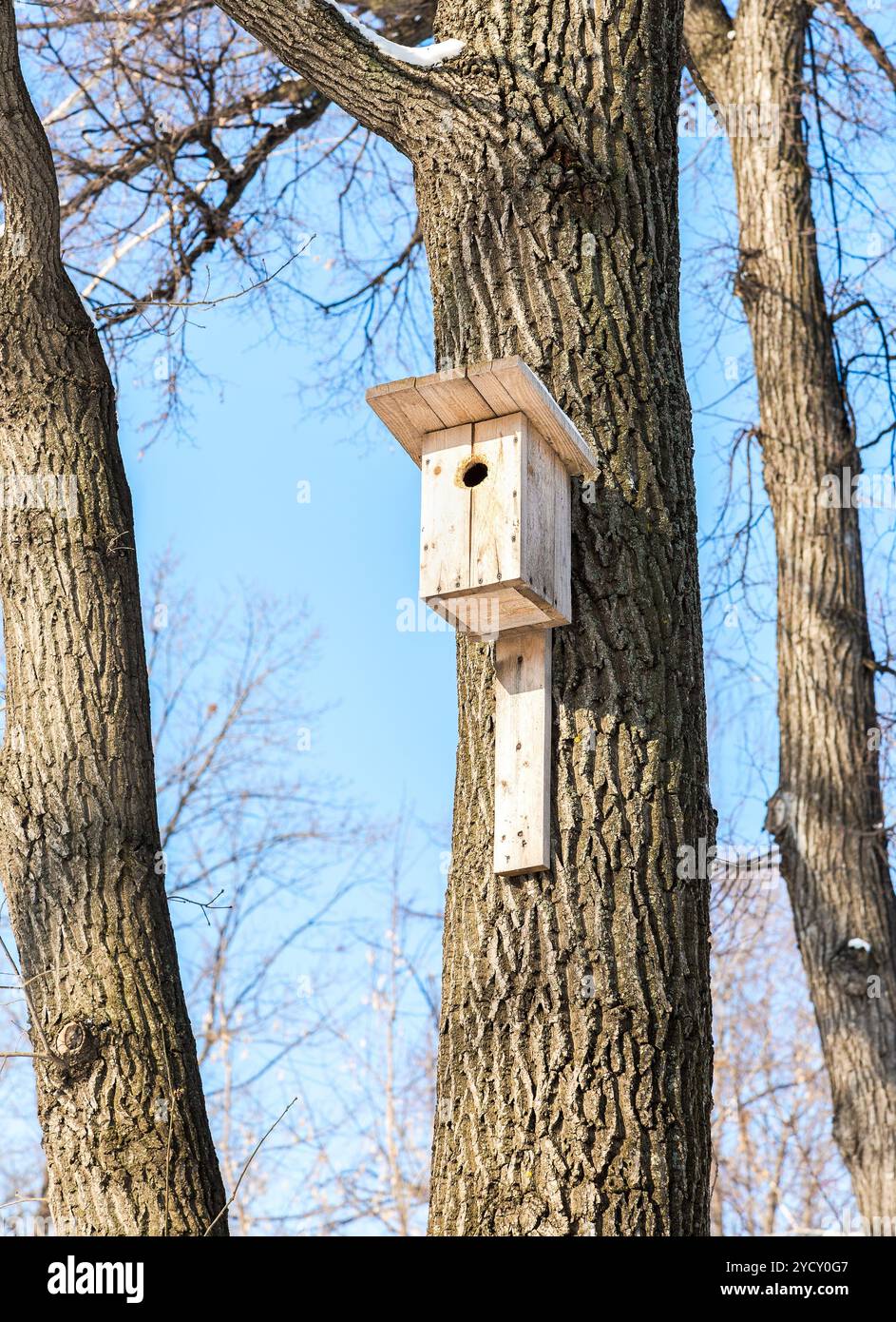 Birdhouse in legno su un alto albero nel Winter Park Foto Stock