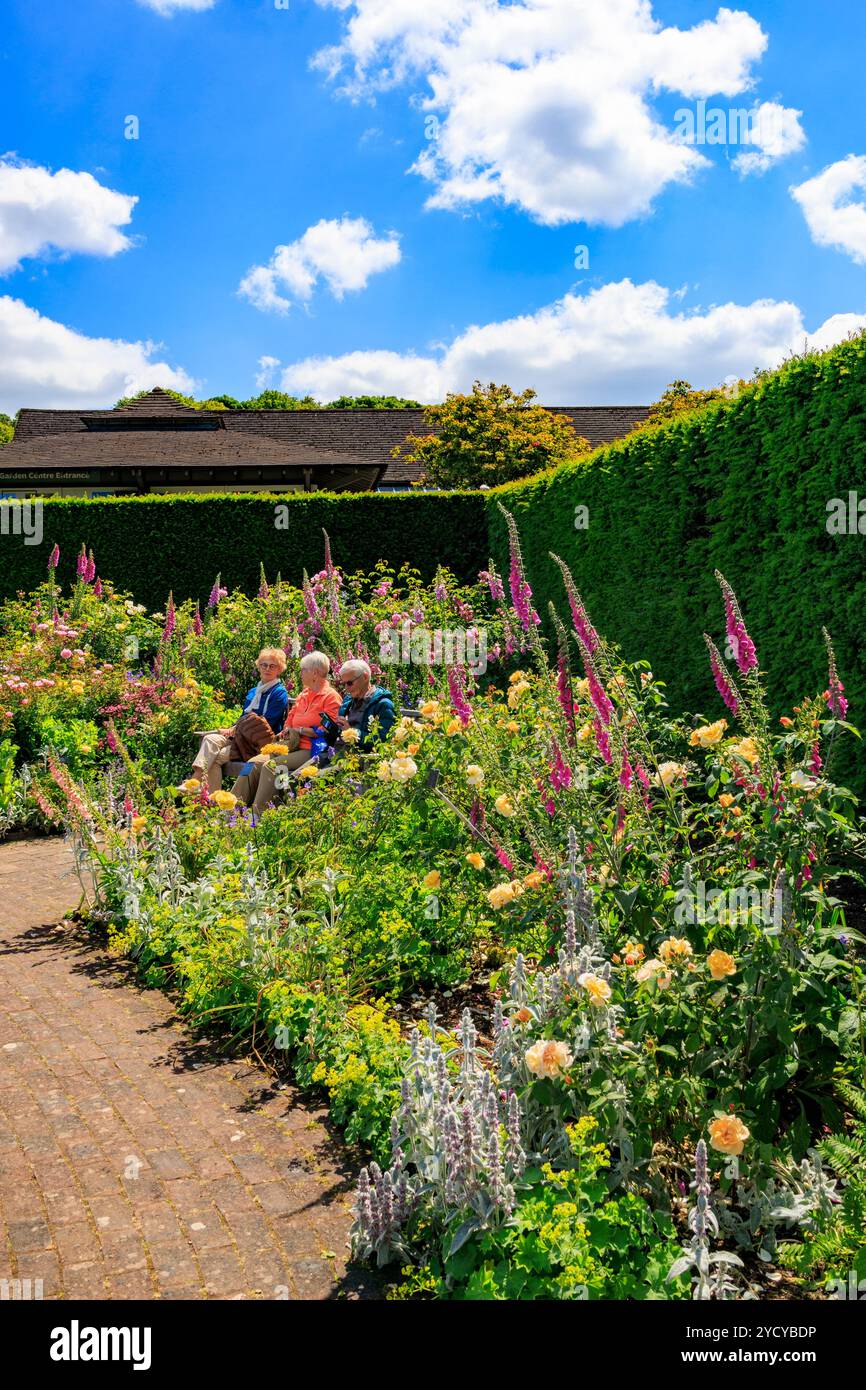 Una colorata esposizione di rose estive e guanti da foce nel Queen Mother's Rose Garden presso l'RHS Garden Rosemoor, Devon, Inghilterra, Regno Unito Foto Stock