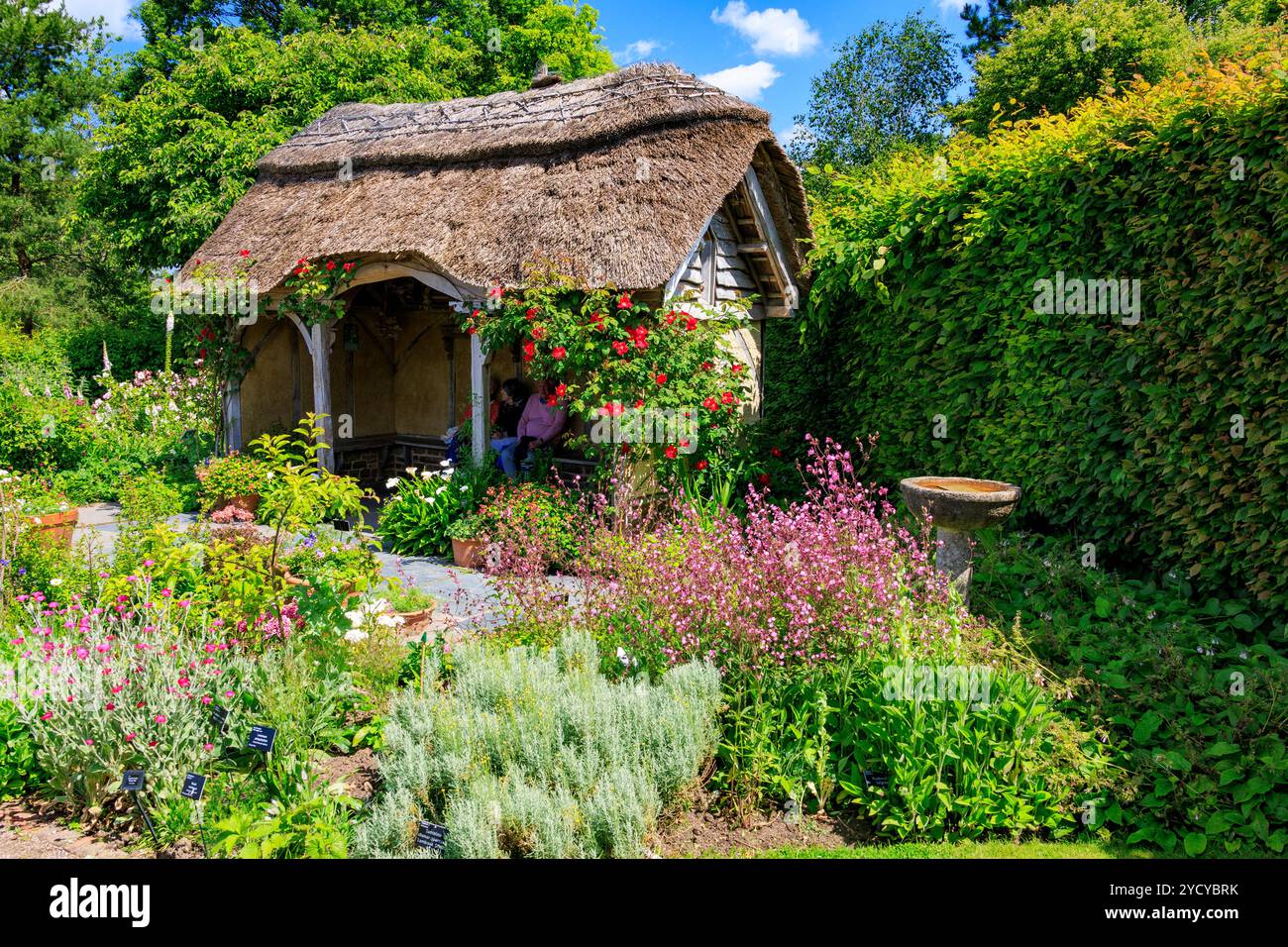 Una colorata esposizione di piante erbacee perenni e rose nel Cottage Garden presso l'RHS Garden Rosemoor, Devon, Inghilterra, Regno Unito Foto Stock