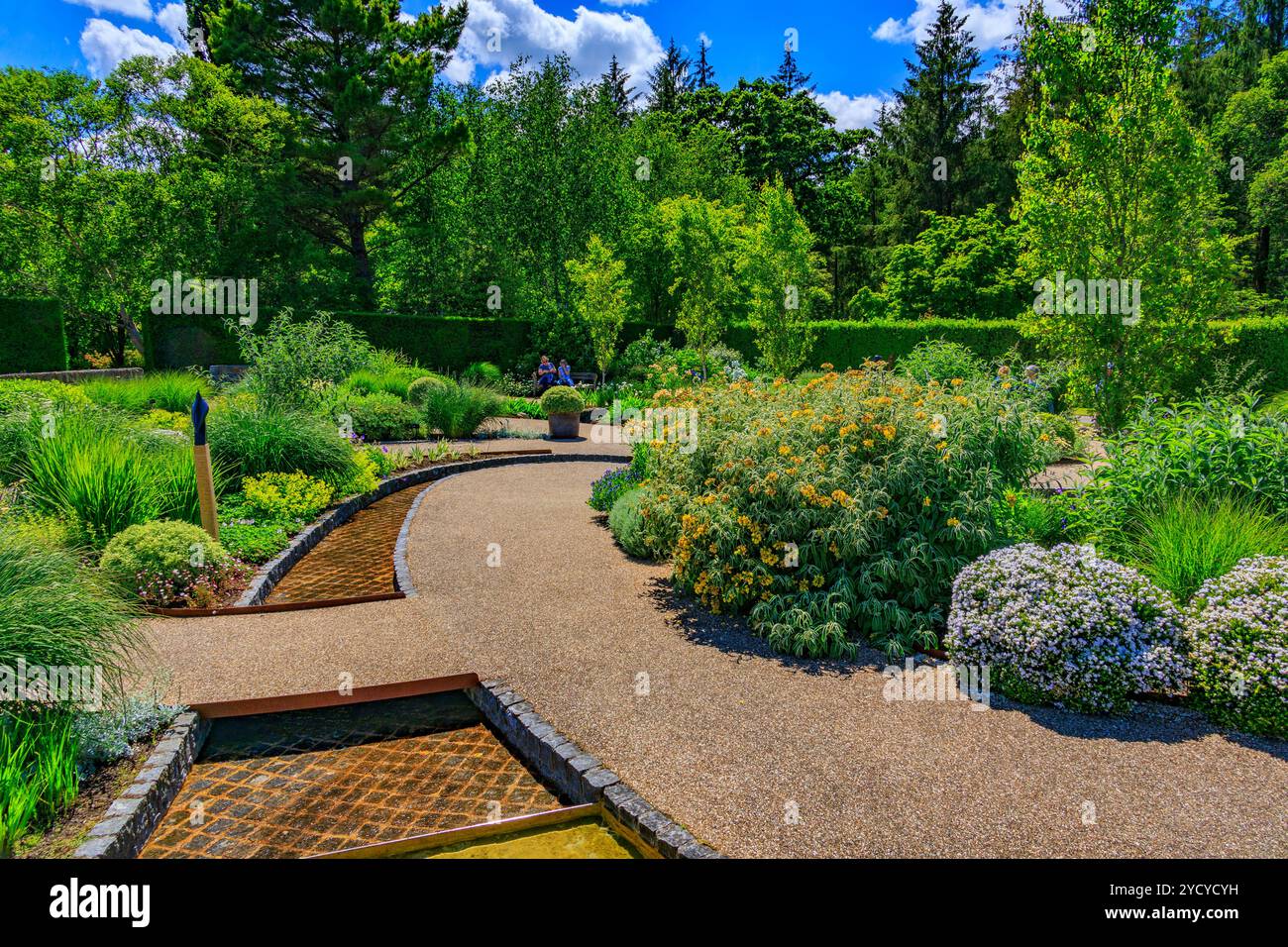 Sculture colorate e un torrente serpeggiante scorrono attraverso il nuovo Cool Garden presso il RHS Garden Rosemoor, Devon, Inghilterra, Regno Unito Foto Stock