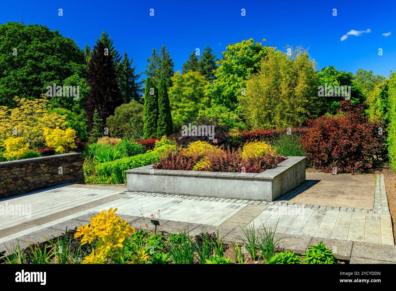Un mix colorato di piante erbacee perenni nell'Hot Garden presso l'RHS Garden Rosemoor, Devon, Inghilterra, Regno Unito Foto Stock