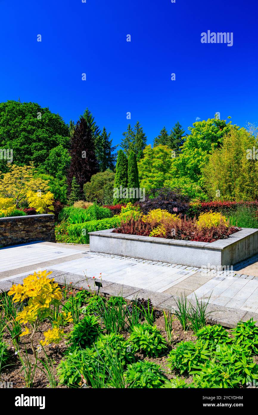 Un mix colorato di piante erbacee perenni nell'Hot Garden presso l'RHS Garden Rosemoor, Devon, Inghilterra, Regno Unito Foto Stock